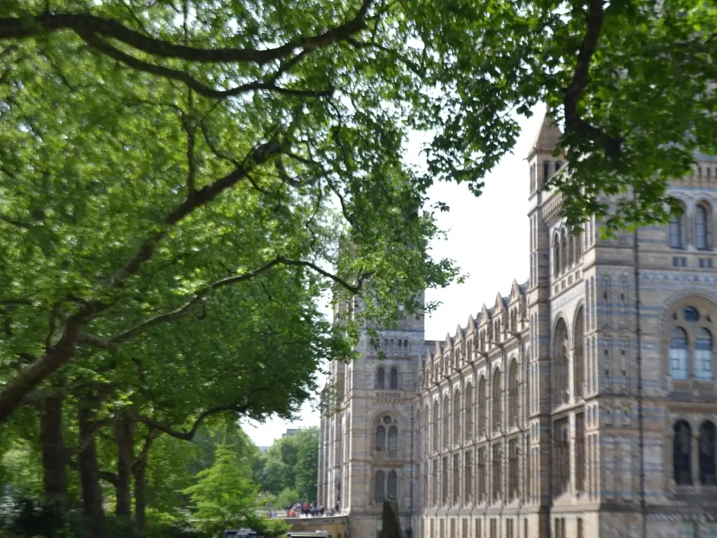 Natural History Museum