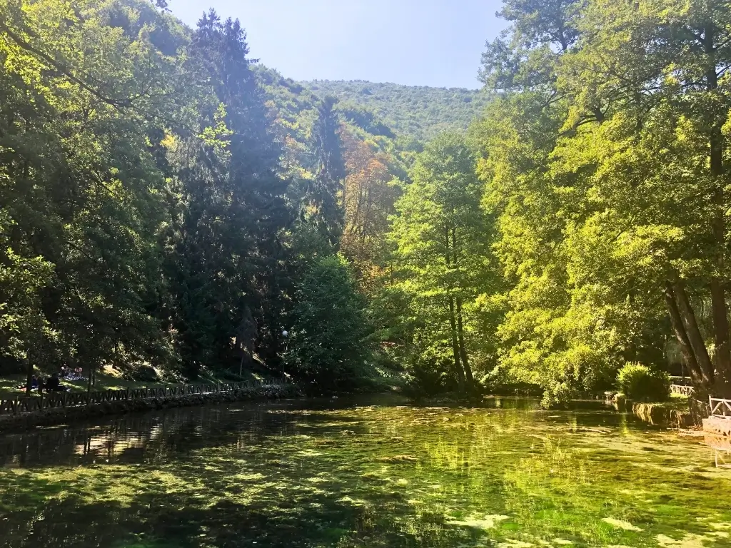 Vrelo Bosne